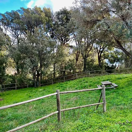 Le Relais De * Sisco