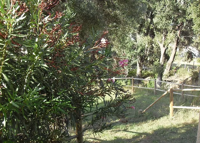 Le Relais De * Sisco