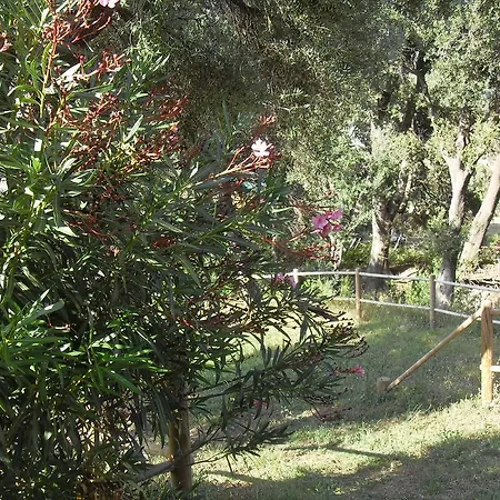 Le Relais De * Sisco